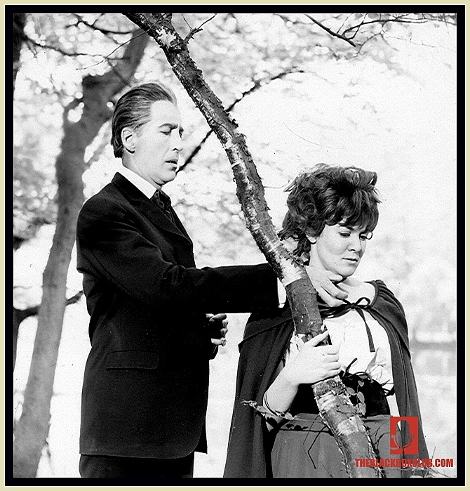 DRACULA HAS RISEN FROM THE GRAV...